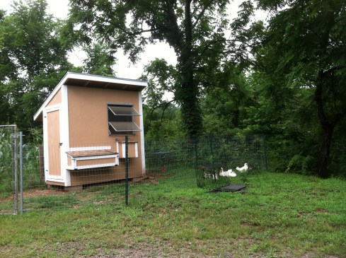 Water front Chicken house.