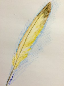 Feather JPG