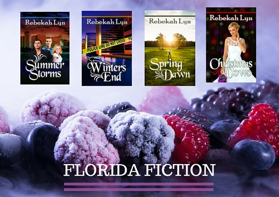 Seasons of Florida fiction winter collage