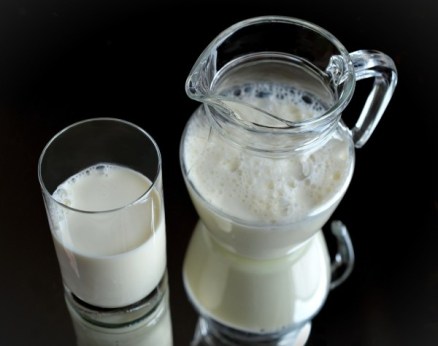 milk-glass-frisch-healthy-drink-nutritious-krug-2