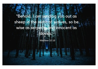 “Behold, I am sending you out as sheep in the midst of wolves, so be wise as serpents and innocent as doves.