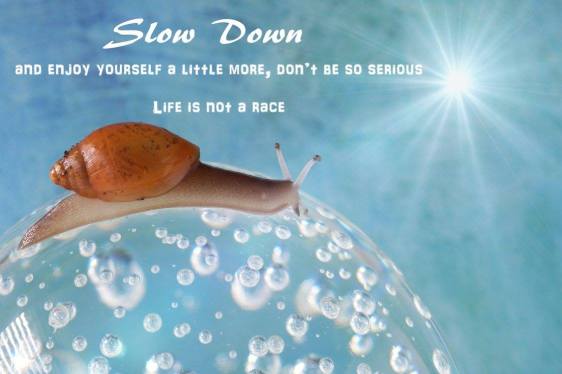 Slow Down copy