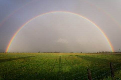 Rainbow over grass