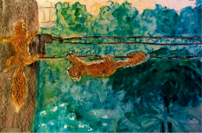 Squirell upside down