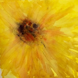 sunflower-big-loose