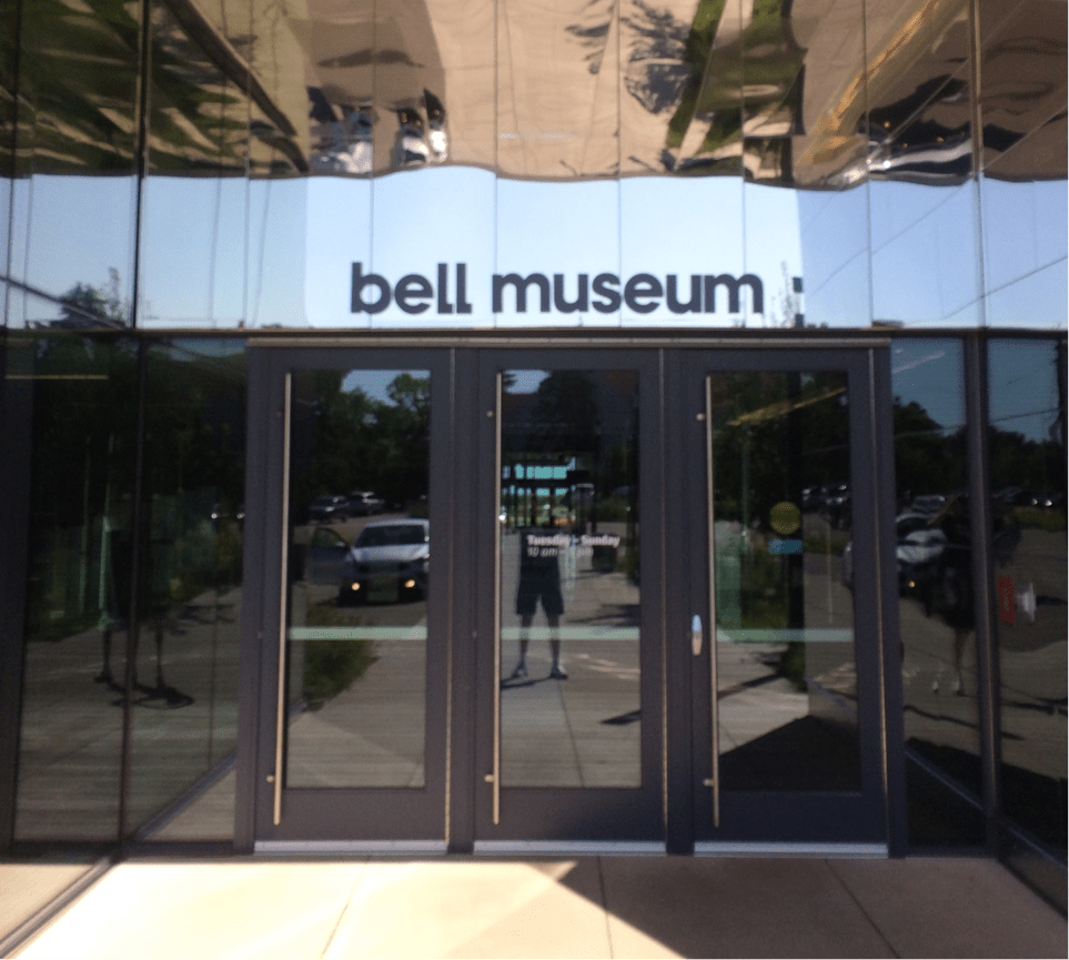 Description: C:\Users\Bill Lites\AppData\Local\Microsoft\Windows Live Mail\WLMDSS.tmp\WLMAD71.tmp\IMG_8087.JPG