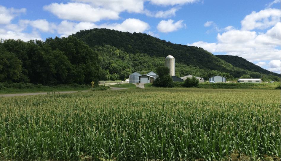 Description: C:\Users\Bill Lites\AppData\Local\Microsoft\Windows Live Mail\WLMDSS.tmp\WLM53F6.tmp\IMG_8059.JPG